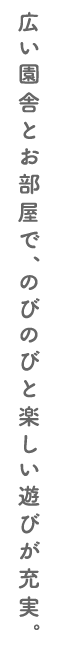広い園舎とお部屋で、のびのびと楽しい遊びが充実。